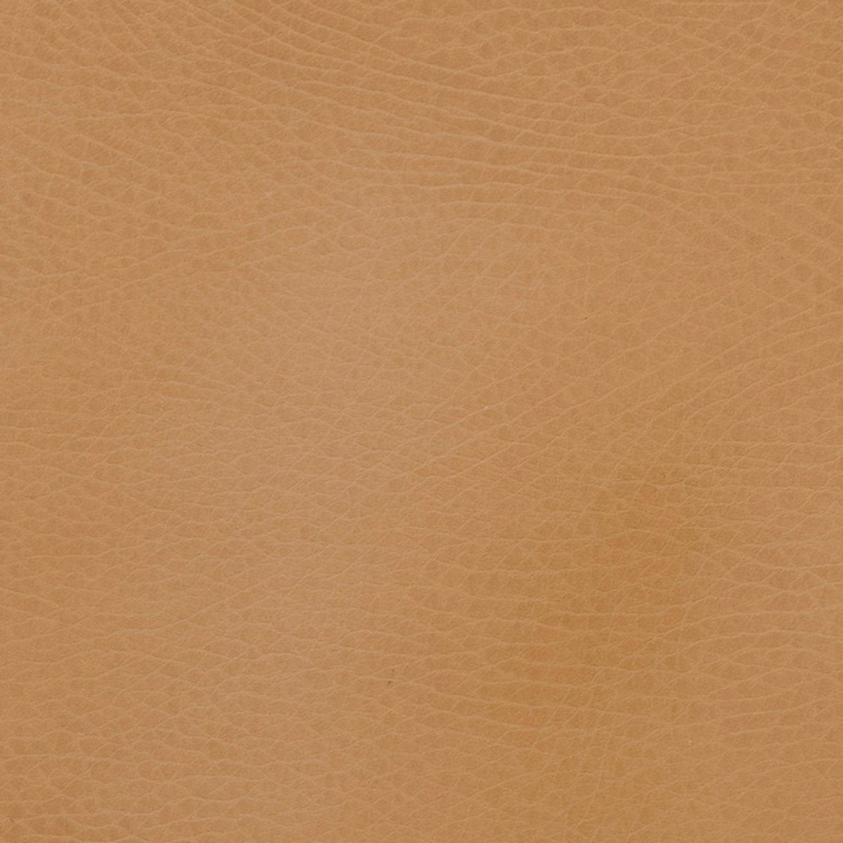 BALANCE BEAM - Norman & Jules