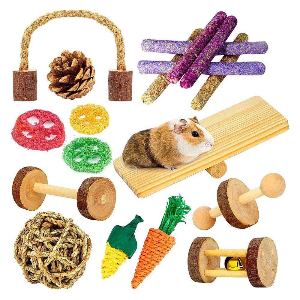 Guiroate Hamster Toys, Guinea Pig Toys, 18 Pcs Wooden Hamster Toy Set Natural Wood Small Animal Chew Molar Toys for Teeth